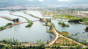 64631625007927978 64631625007927978