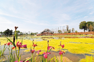 21891625007927822 21891625007927822