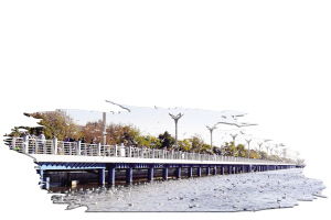 92271625007925317 92271625007925317