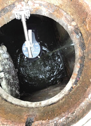 73241625072319493 73241625072319493